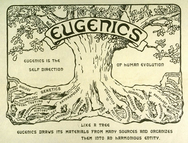 Eugenics Tree