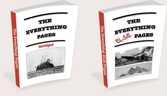 The Everything Pages * The Everything ELSE Pages by David Allender