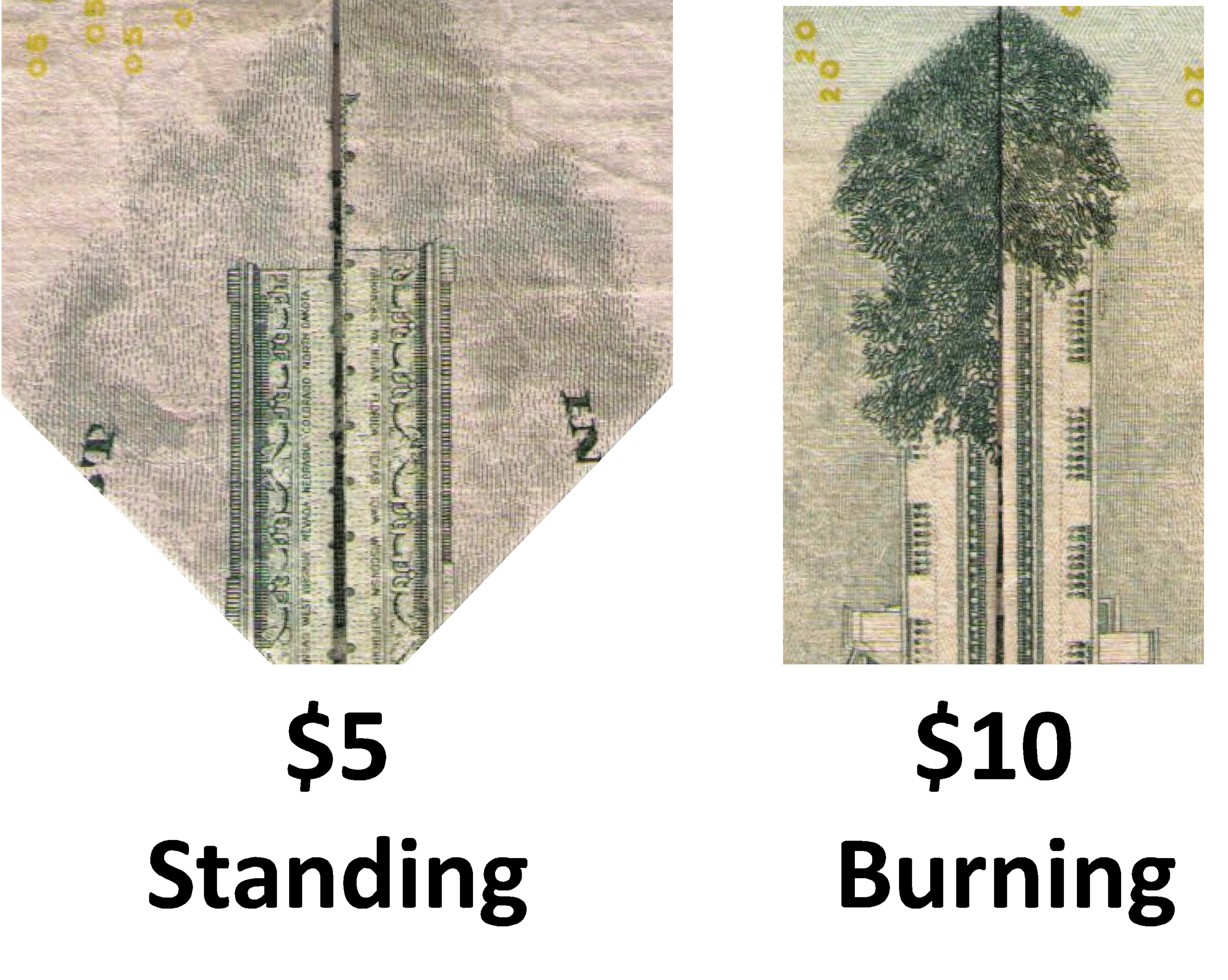 C:\Users\David7\Desktop\Dave's NN Works\Canvas Files\Bills2.gif