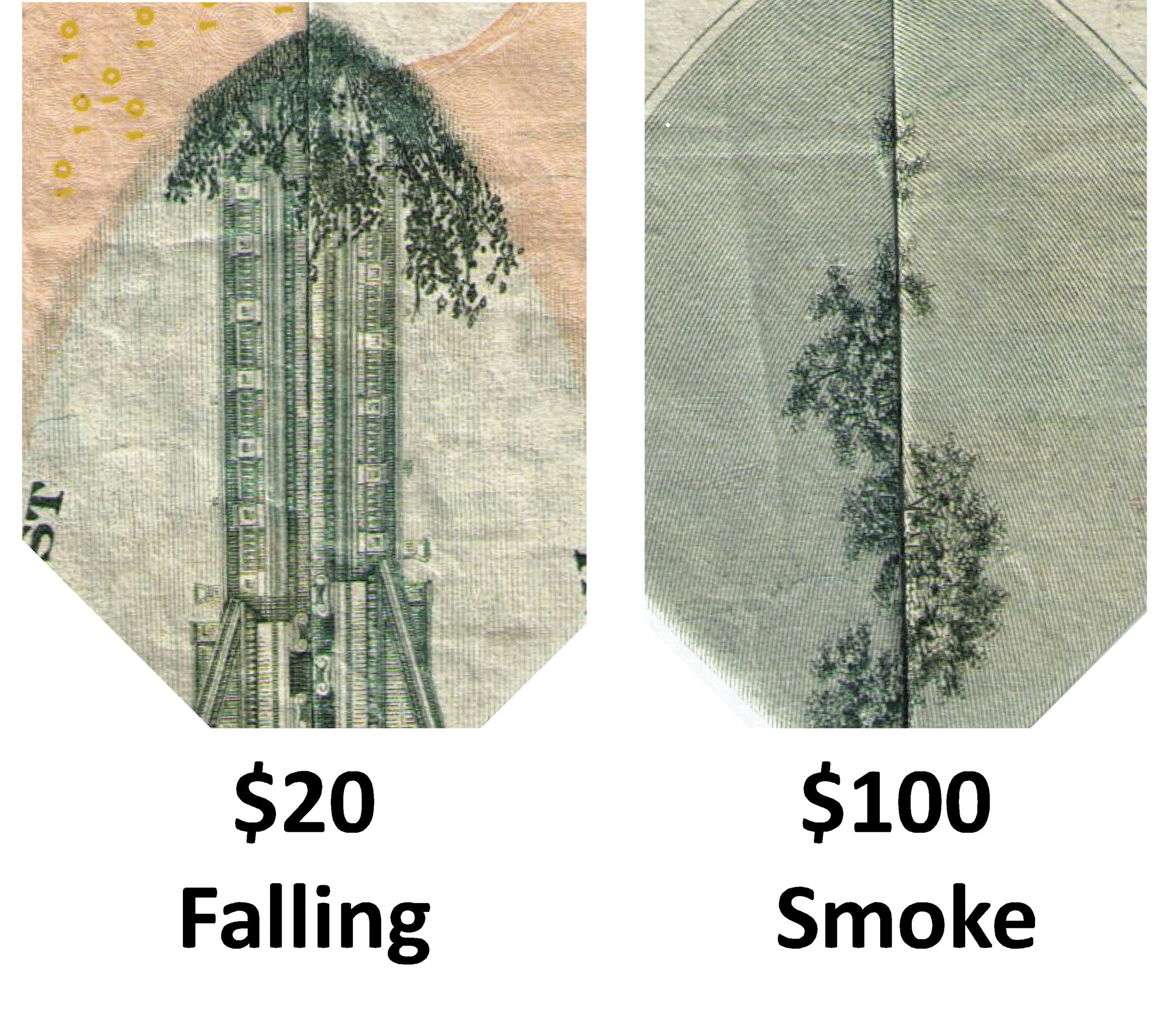 C:\Users\David7\Desktop\Dave's NN Works\Canvas Files\Bills3.gif