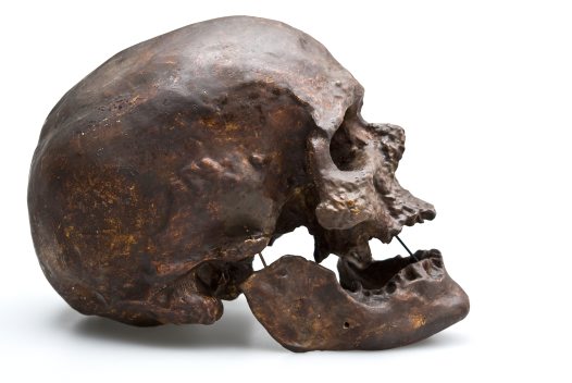 C:\Users\David7\Desktop\New folder (2)\Human Evolution062_big.jpg