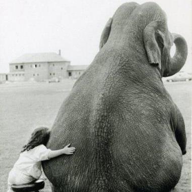 C:\Users\David7\Desktop\New Folder3\545910_10151020869985773_333096863_n.jpg