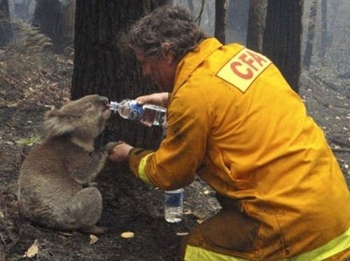 http://www.nedhardy.com/wp-content/uploads/images/2012/may/humanity/faith_in_humanity_restored_5.jpg